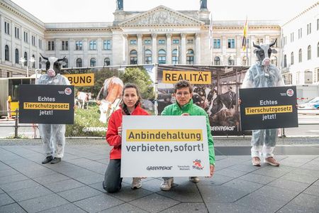 VIER PFOTEN demonstrierte heute vor dem Bundesrat zusammen mit Greenpeace und anderen Organisationen gegen die Andindehaltung
