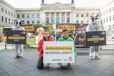 VIER PFOTEN demonstrierte heute vor dem Bundesrat zusammen mit Greenpeace und anderen Organisationen gegen die Andindehaltung