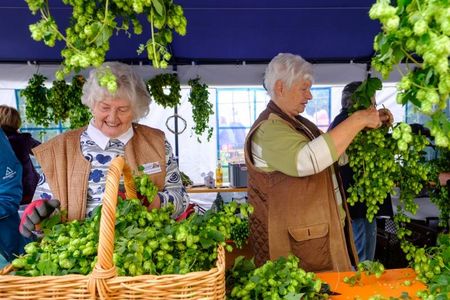 Bei den Vorbereitungen zum Hopfenfest als Auftaktveranstaltung packen alle mit an