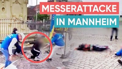 Der Tatort in Mannheim