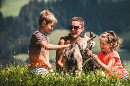 Tierisch gute Tour: Ziegen motivieren garantiert jedes Kind zum Wandern