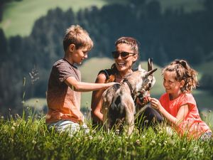 Tierisch gute Tour: Ziegen motivieren garantiert jedes Kind zum Wandern Tierisch gute Tour: Ziegen motivieren garantiert jedes Kind zum Wandern