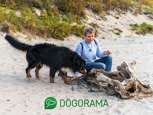 Frau an der Ostsee mit Hund Frau an der Ostsee mit Hund