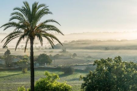 Von der Terrasse der Son Manera Retreat Finca von Indigourlaub blicken Gäste auf die weitläufigen Olivenhaine und Orangenplantagen rund um die mallorquinische Stadt Montuiri