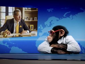 Bald wieder da: Der Trigema-Affe Charly