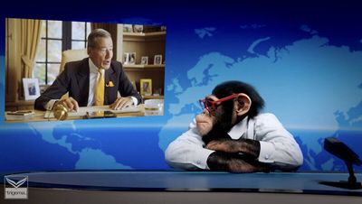 Bald wieder da: Der Trigema-Affe Charly