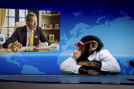 Bald wieder da: Der Trigema-Affe Charly