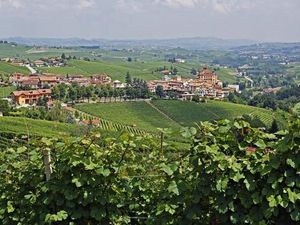Blick auf Barolo, die Stadt und den Wein – mit Hauser Exkursionen entdecken Urlauber zum Beispiel auf verschiedenen Selfguided-Reisen das norditalienische Piemont. © Hauser Exkursionen/Erhard Sprick Blick auf Barolo, die Stadt und den Wein – mit Hauser Exkursionen entdecken Urlauber zum Beispiel auf verschiedenen Selfguided-Reisen das norditalienische Piemont. © Hauser Exkursionen/Erhard Sprick