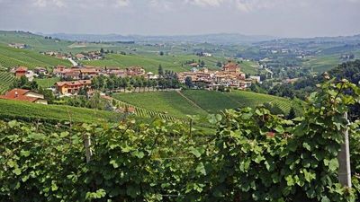 Blick auf Barolo, die Stadt und den Wein – mit Hauser Exkursionen entdecken Urlauber zum Beispiel auf verschiedenen Selfguided-Reisen das norditalienische Piemont. © Hauser Exkursionen/Erhard Sprick