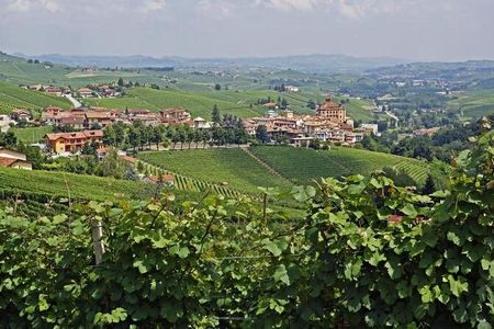 Blick auf Barolo, die Stadt und den Wein – mit Hauser Exkursionen entdecken Urlauber zum Beispiel auf verschiedenen Selfguided-Reisen das norditalienische Piemont. © Hauser Exkursionen/Erhard Sprick