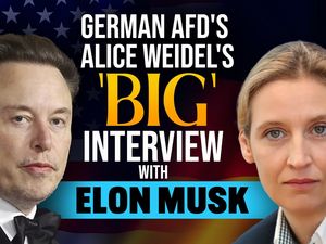 Kurz vor dem Gespräch von Tech-Milliardär Musk und AfD-Chefin Weidel schlagen Abgeordnete aus Brüssel und Berlin Alarm