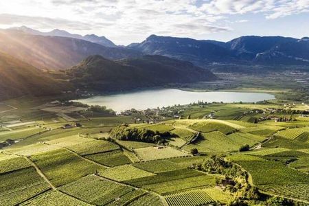 Der Kalterer See ist Südtirols wärmstes Badegewässer. Ruhig und gänzlich ungestört erleben Gäste des Hotel Steiner nahe Bozen das Südtiroler Highlight 