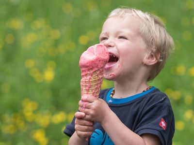 Leckeres Eis vom Bauern: Gibt‘s bei der neuesten Almbutler-Tour auf der Turracher Höhe