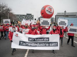 VIER PFOTEN Aktivist:innen ziehen bei einer Demo durch Berlin VIER PFOTEN Aktivist:innen ziehen bei einer Demo durch Berlin