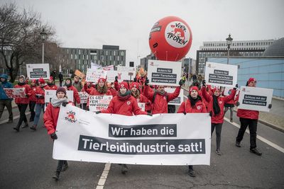 VIER PFOTEN Aktivist:innen ziehen bei einer Demo durch Berlin 