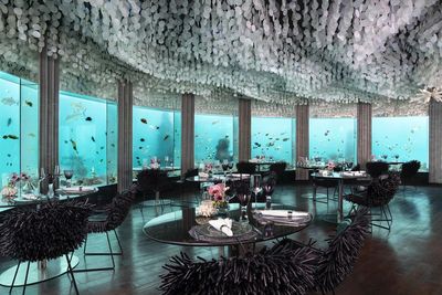 In sechs Metern Tiefe gelegen, ist das Restaurant die erste Location weltweit, in der Gäste unter Wasser in den Genuss einer peruanisch-japanischen Fusionsküche kommen