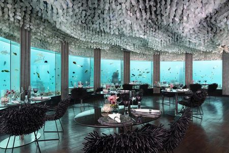 In sechs Metern Tiefe gelegen, ist das Restaurant die erste Location weltweit, in der Gäste unter Wasser in den Genuss einer peruanisch-japanischen Fusionsküche kommen