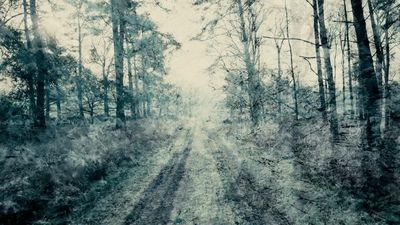 Gesänge-vom überleben