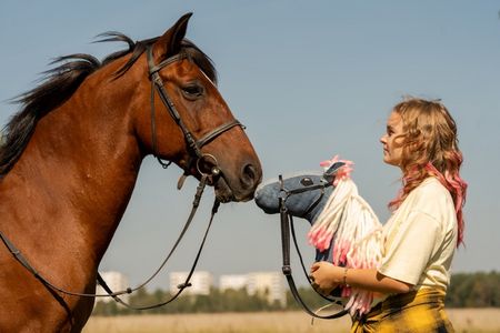 PFERD AM STIEL von Sonja Maria Kröner