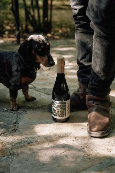 Spätes Licht. Blanc de Noir 2023 Brut Nature