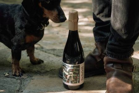 Spätes Licht. Blanc de Noir 2023 Brut Nature