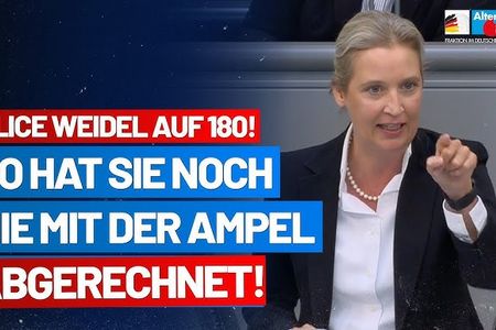Die AfD-Co-Vorsitzende Alice Weidel bezeichnete das Gespräch von Scholz und Merz als „völlig bedeutungslosen Gipfel“