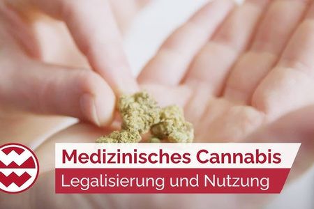 Lange Zeit war Cannabis als Freizeitdroge bekannt. Doch mittlerweile erkennen Ärzte und Wissenschaftler das Potenzial der Pflanze in der Schmerztherapie und darüber hinaus