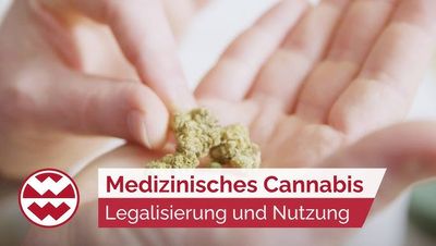 Lange Zeit war Cannabis als Freizeitdroge bekannt. Doch mittlerweile erkennen Ärzte und Wissenschaftler das Potenzial der Pflanze in der Schmerztherapie und darüber hinaus