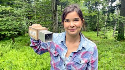  Anna und die wilden Tiere Bayerische Kurzohrmaus