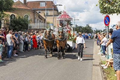 Pferdegespanne für historischen Festzug am Rakoczy-Fest gesucht