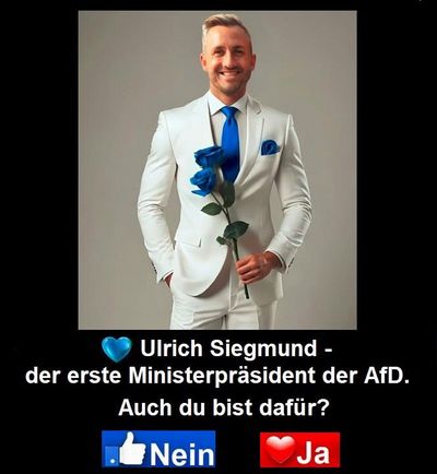 Diese Woche brachte neue Rekorde: bundesweit den bisher höchsten Vorsprung der AfD vor der Union