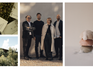 Die B Corp-Zertifizierung belegt das positive Wirken von TEAM DR JOSEPH im sozialen und ökologischen Bereich Die B Corp-Zertifizierung belegt das positive Wirken von TEAM DR JOSEPH im sozialen und ökologischen Bereich