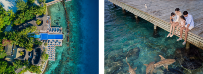 Die Unterwasserwelt des Süd-Ari-Atolls erleben Gäste im Machchafushi Island Resort & Spa direkt vom Steg oder beim Schnorcheln am ausgezeichneten Hausriff