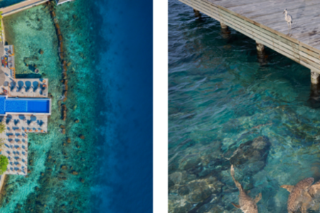 Die Unterwasserwelt des Süd-Ari-Atolls erleben Gäste im Machchafushi Island Resort & Spa direkt vom Steg oder beim Schnorcheln am ausgezeichneten Hausriff