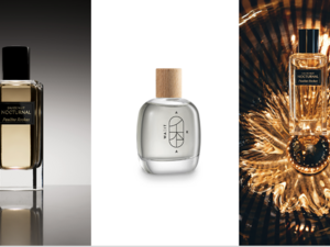 Die wunderbare Pauline Rochas hat einen neuen Duft lanciert: Nocturnal Eau de Nuit – Die Magie der Nacht in einem Duft
