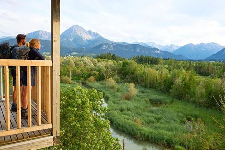Zwei Drittel aller in Tirol vorkommenden Brutvogelarten machen Station im Schutzgebiet Pflacher Au bei Reutte 