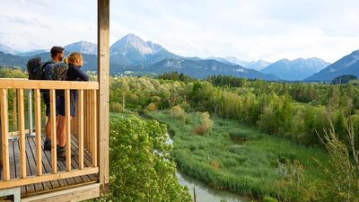 Zwei Drittel aller in Tirol vorkommenden Brutvogelarten machen Station im Schutzgebiet Pflacher Au bei Reutte 