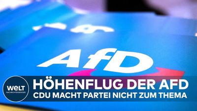Zum Jahreswechsel hatte die AFD rund 40.000 Mitglieder, in der Parteiführung glauben sie, dass es bis Ende des Jahres 50.000 bis 60.000 sein werden