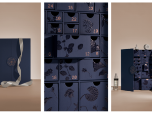 Team Dr Joseph – Adventskalender 2025 Team Dr Joseph – Adventskalender 2025