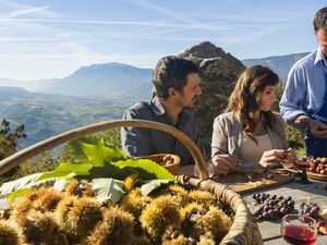 Den krönenden Abschluss nach jedem Südtiroler Törggele-Menü in einem „Roter Hahn“-Buschenschank bilden gebratene Kastanien zum neuen Wein Den krönenden Abschluss nach jedem Südtiroler Törggele-Menü in einem „Roter Hahn“-Buschenschank bilden gebratene Kastanien zum neuen Wein