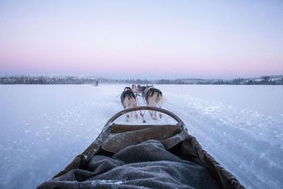 Im Fokus stehen Schweden, Finnland, Norwegen sowie Island