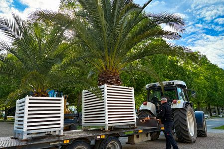 Sommerbepflanzung 2025 in Bad Kissingen