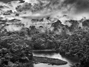 Auaris River in the Parima Forest Reserve, state of Roraima, Brazil, 2018 Auaris River in the Parima Forest Reserve, state of Roraima, Brazil, 2018
