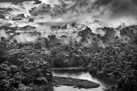 Auaris River in the Parima Forest Reserve, state of Roraima, Brazil, 2018