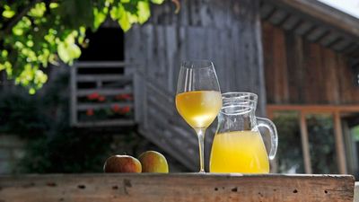 Ganz nah dran: Sobald die Äpfel aus eigenem Anbau geerntet und verarbeitet wurden, können Gäste des Hotel Steiner den frischen Saft im Mini-Markt des angeschlossenen Campingparks erwerben