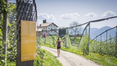 Auf dem Apfel- und Weinweg „Bacchus und Pomina“ in und rund um Schenna erfahren Neugierige Wissenswertes über die zwei wichtigsten landwirtschaftlichen Produkte der Südtiroler Gemeinde bei Meran