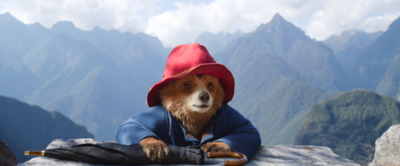 Paddington ist endlich wieder da