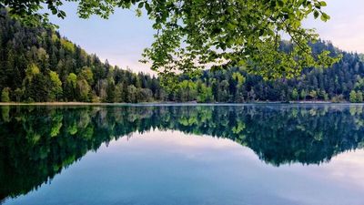 Rund um den Alatsee in Füssen führt ein eineinhalb Kilometer langer und bei Urlaubern beliebter Rundweg