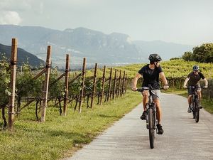 Einer der schönsten Abschnitte des Etschradwegs verläuft entlang der Südtiroler Weinstraße über die Grenze zum Trentino bis ins sehenswerte Städtchen Trento Einer der schönsten Abschnitte des Etschradwegs verläuft entlang der Südtiroler Weinstraße über die Grenze zum Trentino bis ins sehenswerte Städtchen Trento