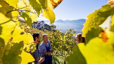 Die „Roter Hahn“-Weinbauern erzählen Urlaubern gern alles über Südtirols Anbaumethoden 